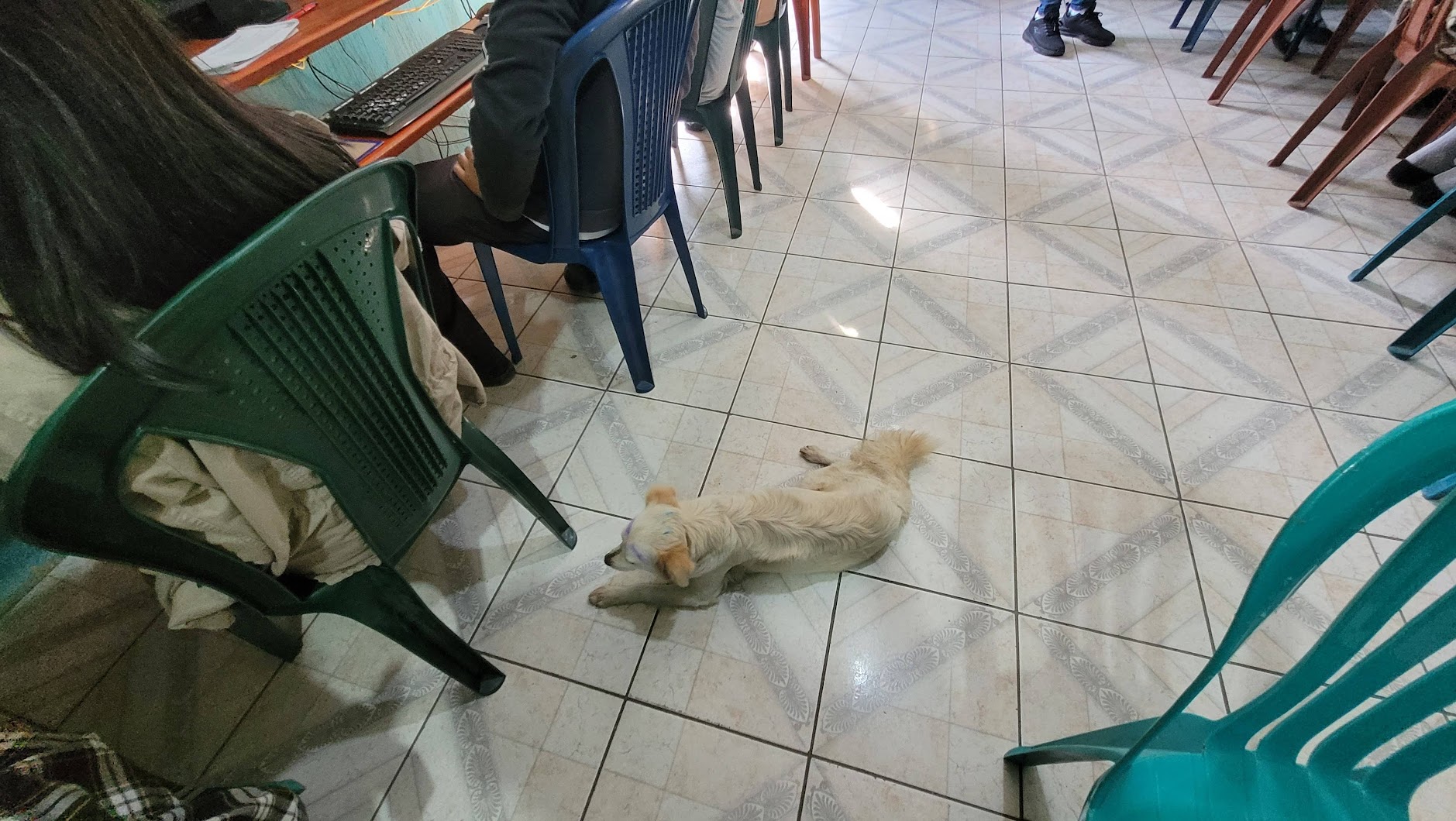 img2